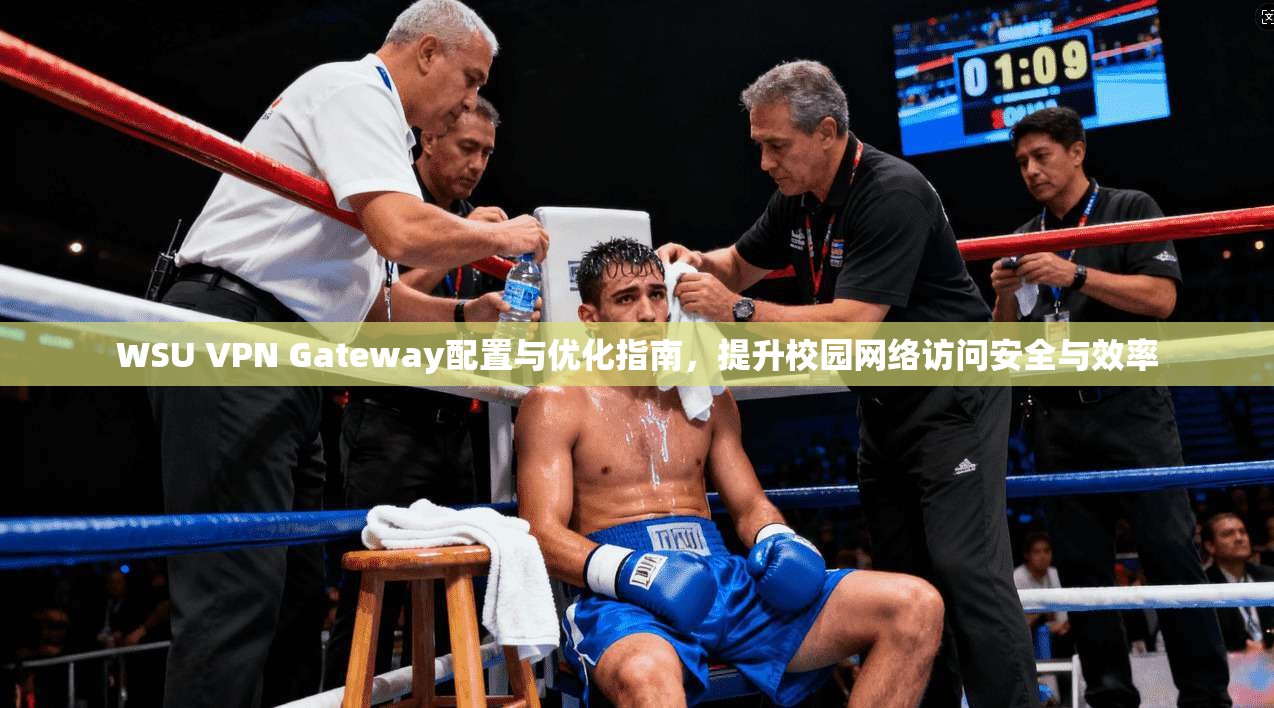 WSU VPN Gateway配置与优化指南，提升校园网络访问安全与效率