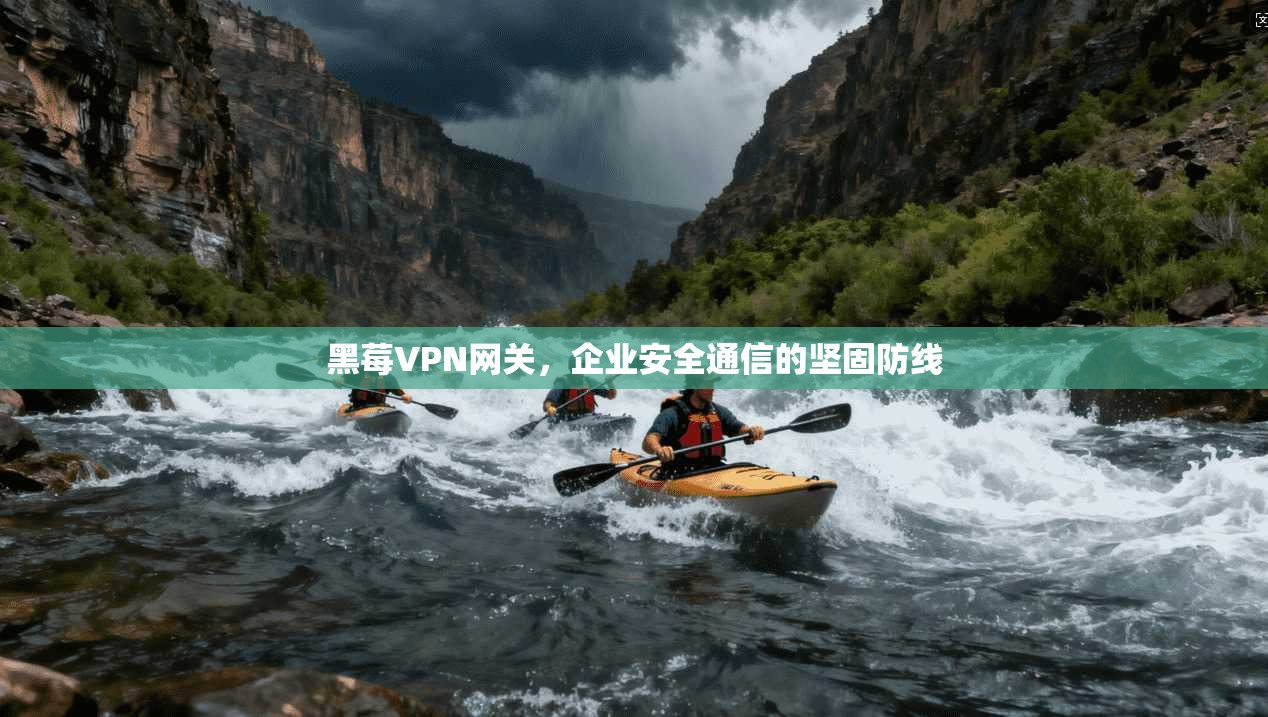 黑莓VPN网关，企业安全通信的坚固防线