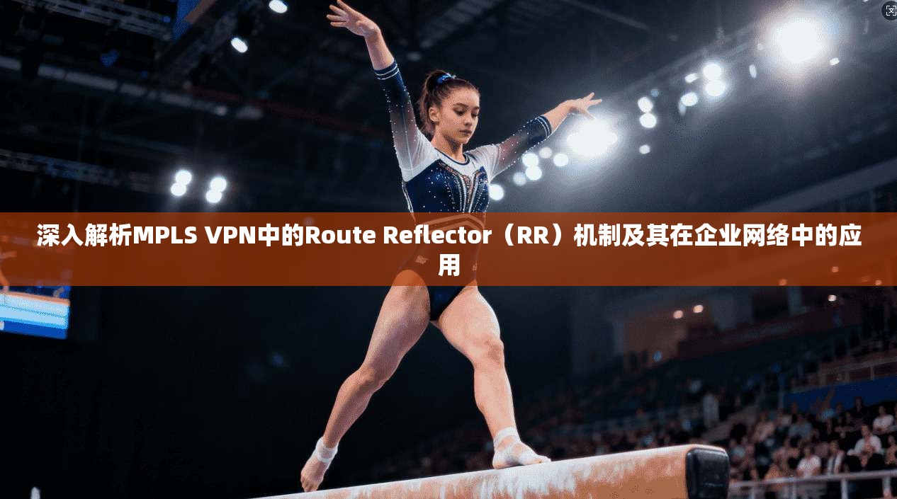 深入解析MPLS VPN中的Route Reflector（RR）机制及其在企业网络中的应用