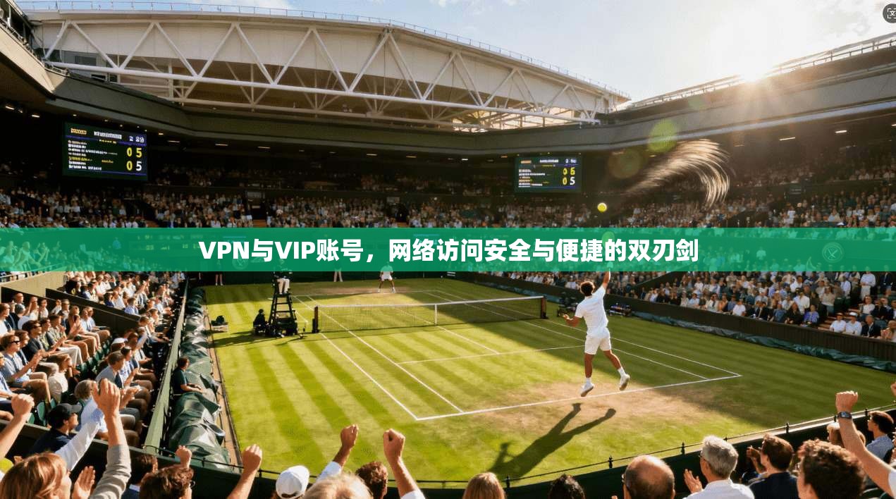 VPN与VIP账号，网络访问安全与便捷的双刃剑