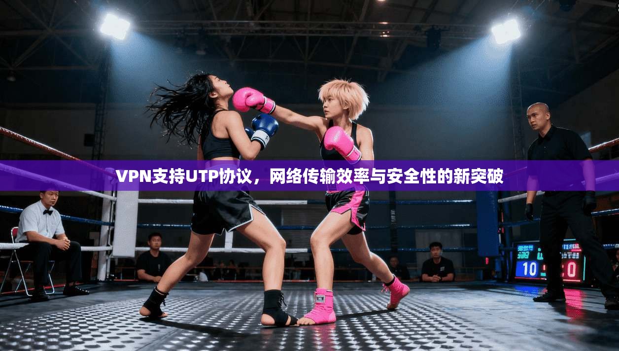 VPN支持UTP协议，网络传输效率与安全性的新突破