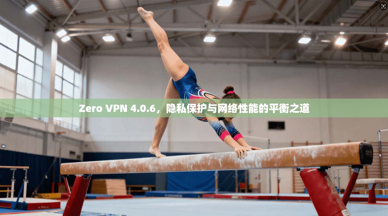 Zero VPN 4.0.6，隐私保护与网络性能的平衡之道