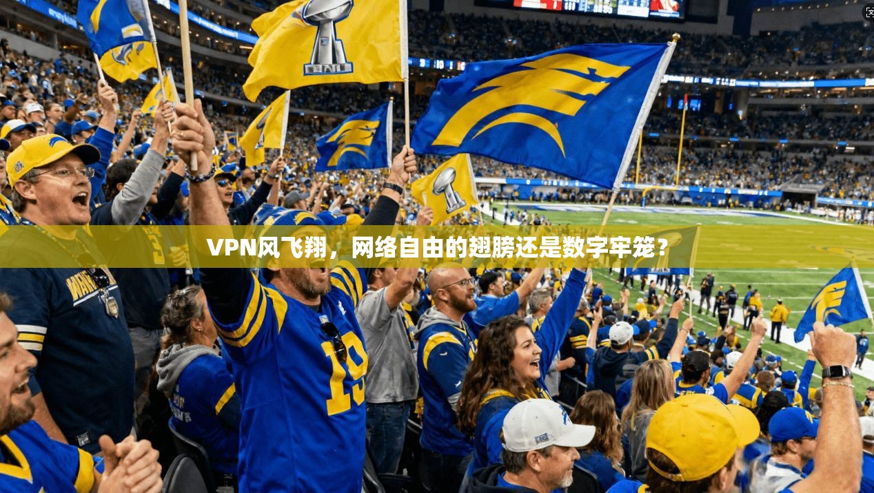 VPN风飞翔，网络自由的翅膀还是数字牢笼？