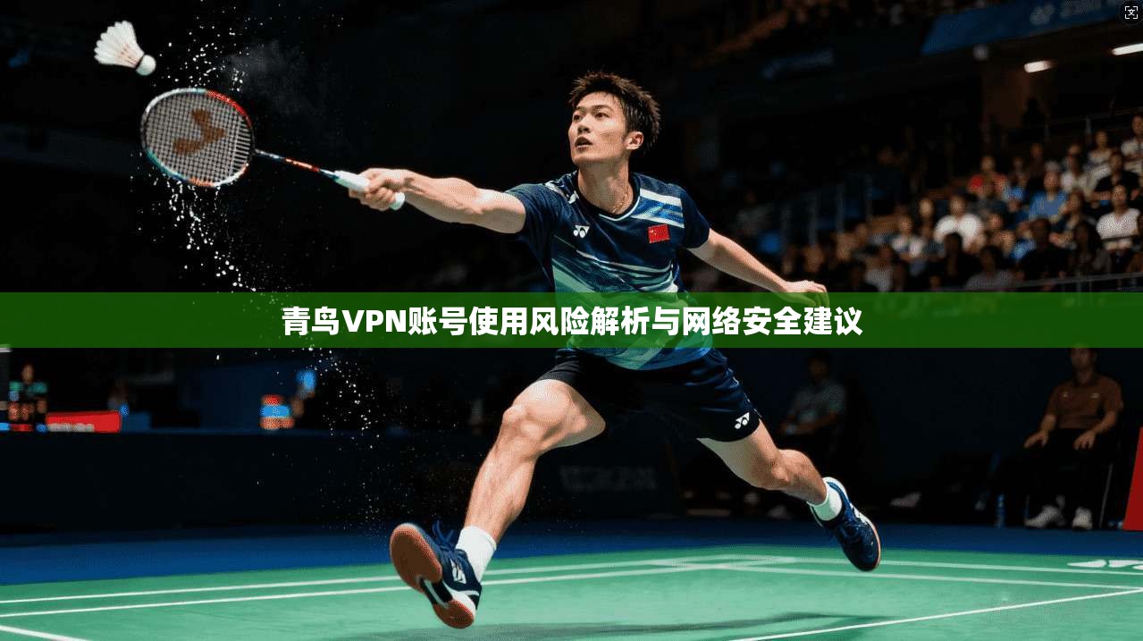 青鸟VPN账号使用风险解析与网络安全建议