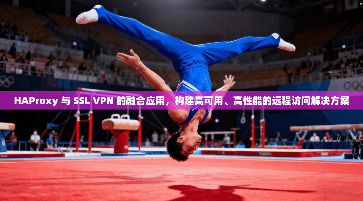 HAProxy 与 SSL VPN 的融合应用，构建高可用、高性能的远程访问解决方案