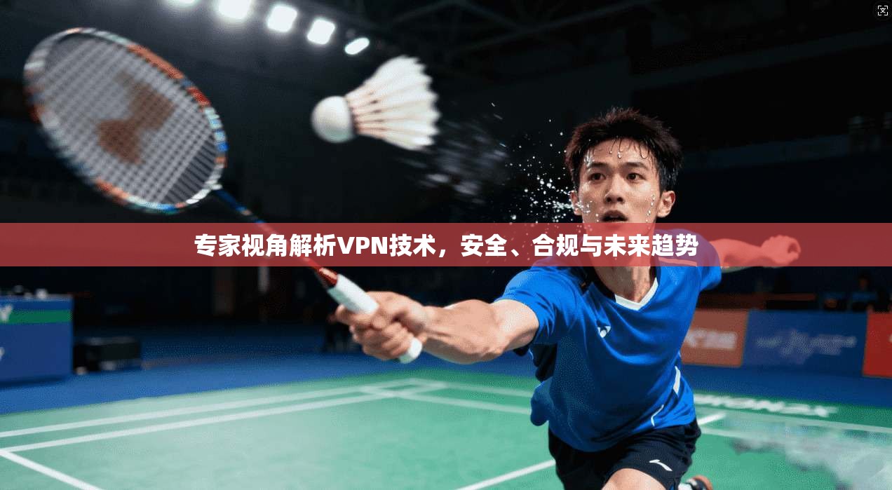专家视角解析VPN技术，安全、合规与未来趋势