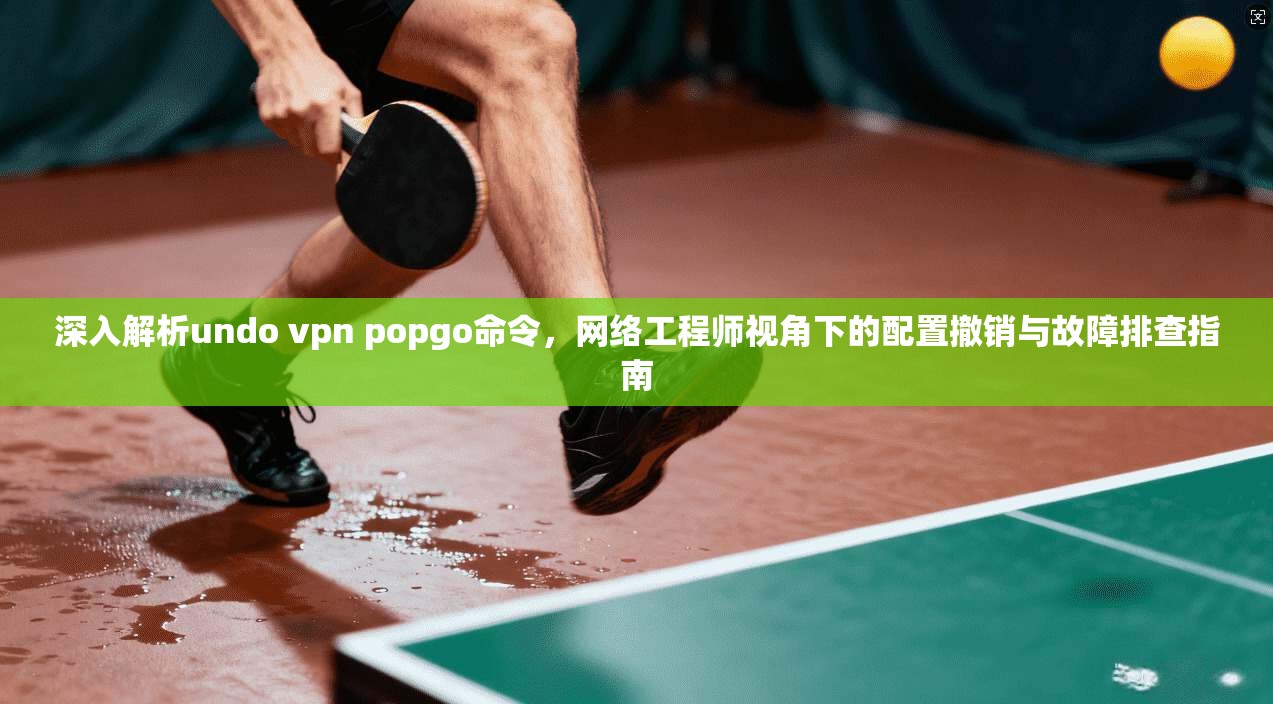 深入解析undo vpn popgo命令，网络工程师视角下的配置撤销与故障排查指南