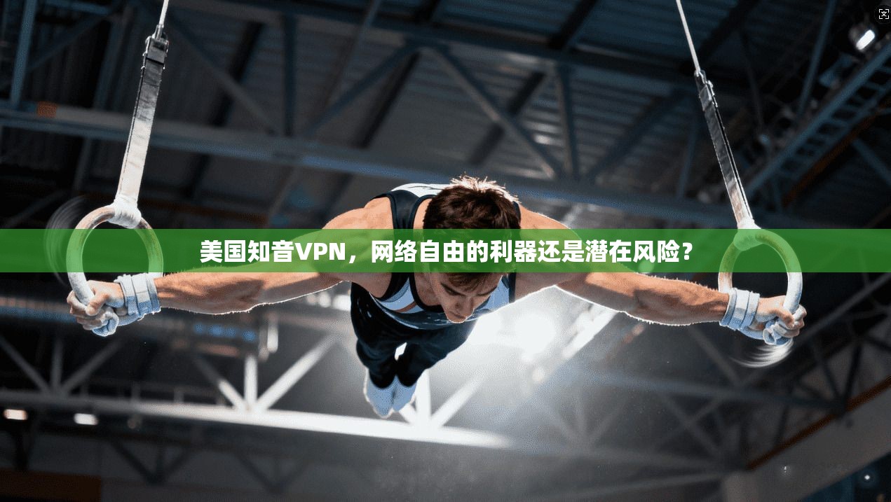 美国知音VPN，网络自由的利器还是潜在风险？
