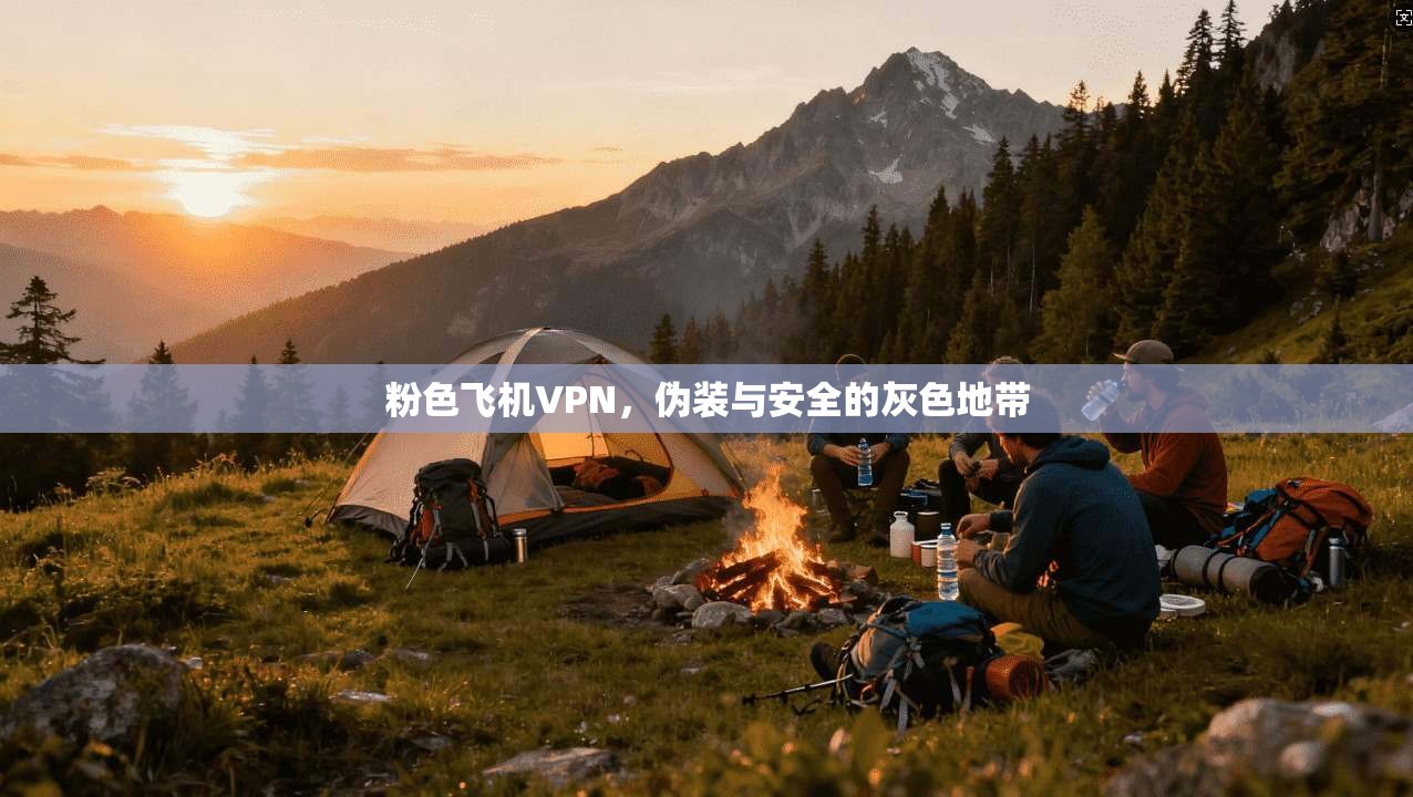 粉色飞机VPN，伪装与安全的灰色地带
