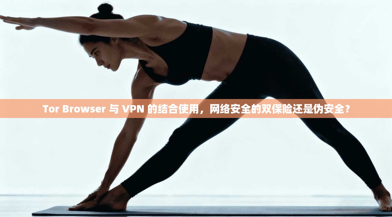 Tor Browser 与 VPN 的结合使用，网络安全的双保险还是伪安全？