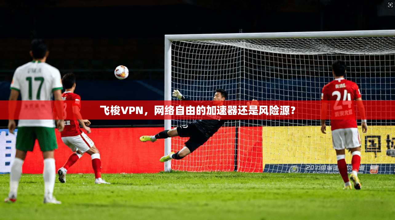 飞梭VPN，网络自由的加速器还是风险源？