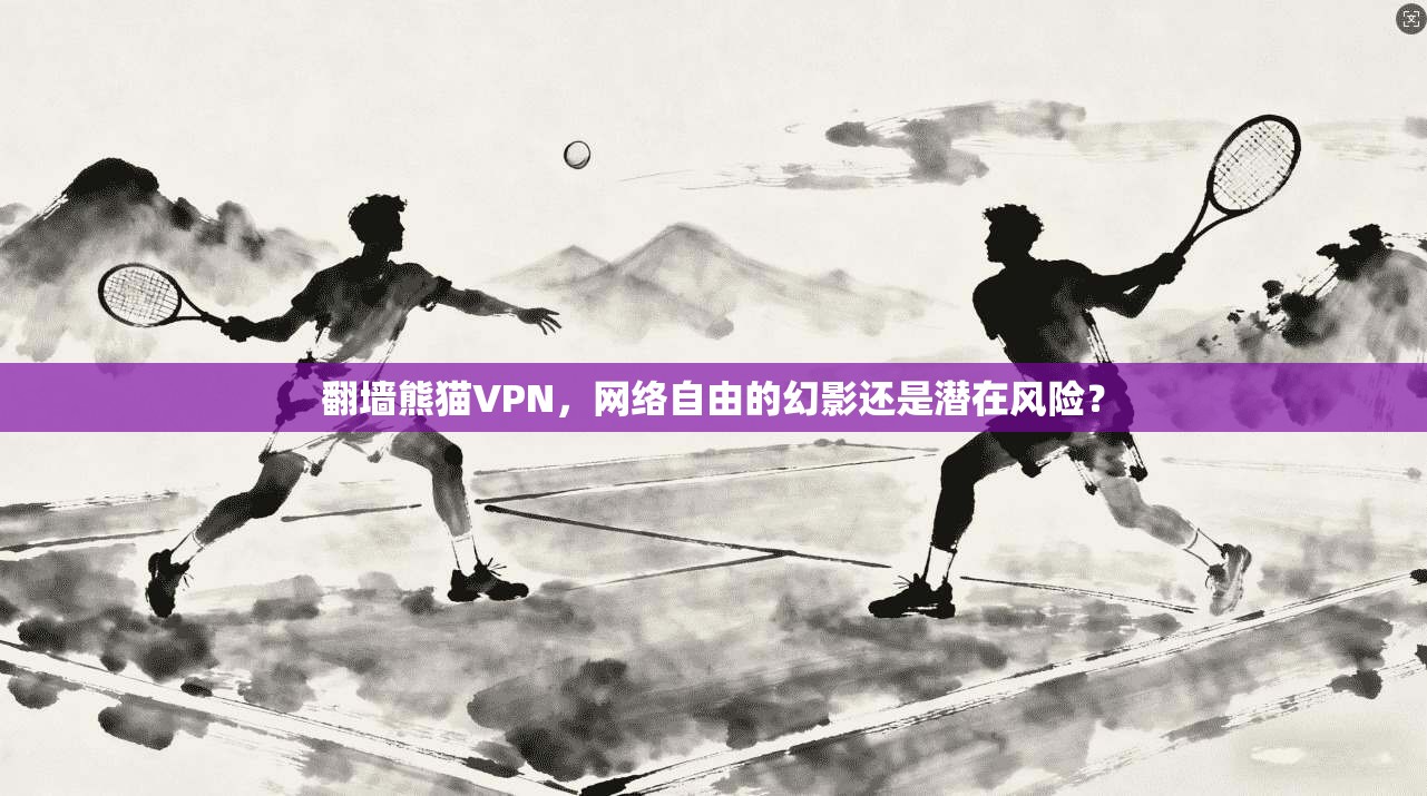翻墙熊猫VPN，网络自由的幻影还是潜在风险？