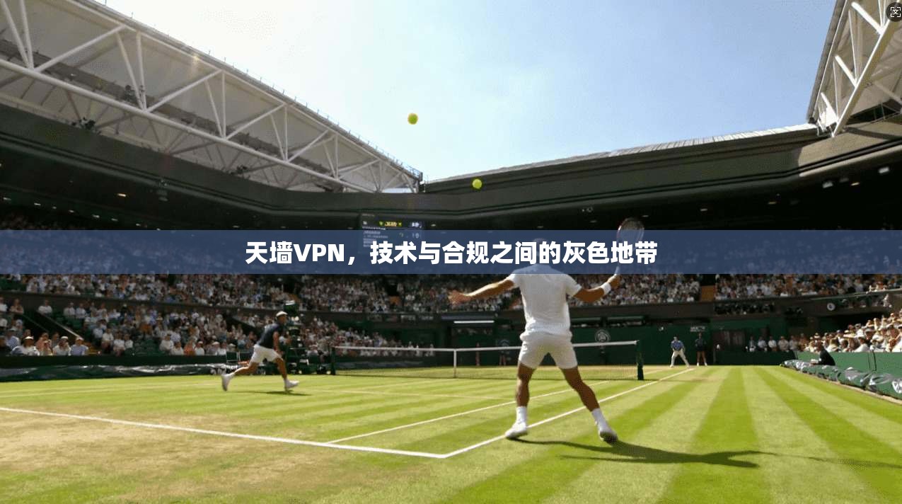 天墙VPN，技术与合规之间的灰色地带