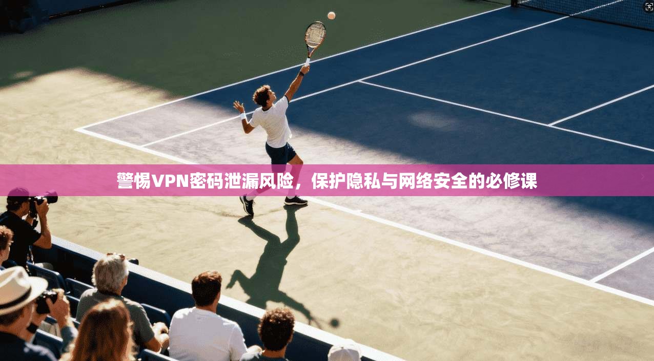 警惕VPN密码泄漏风险，保护隐私与网络安全的必修课
