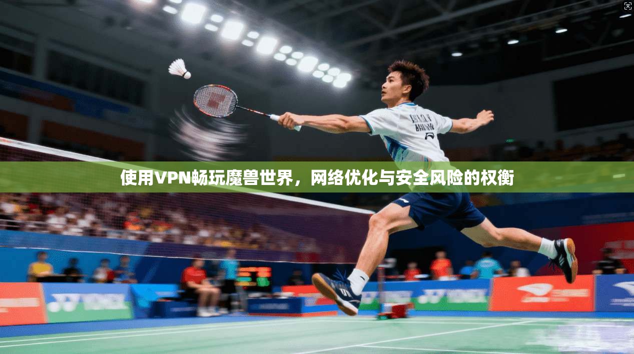 使用VPN畅玩魔兽世界，网络优化与安全风险的权衡