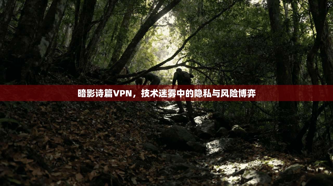 暗影诗篇VPN，技术迷雾中的隐私与风险博弈