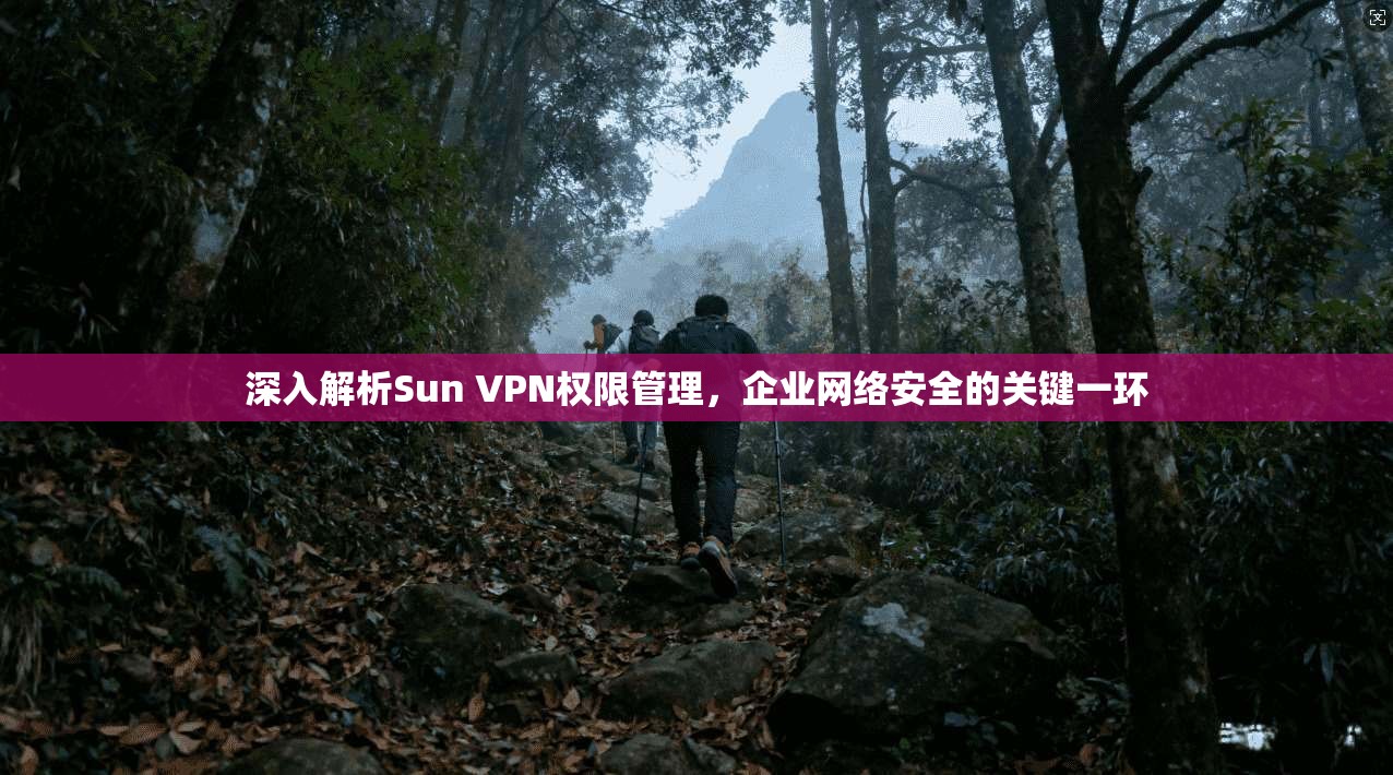 深入解析Sun VPN权限管理，企业网络安全的关键一环