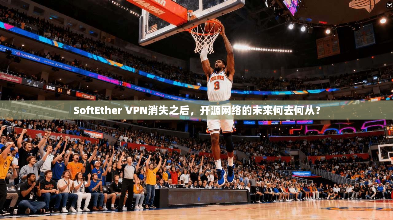 SoftEther VPN消失之后，开源网络的未来何去何从？