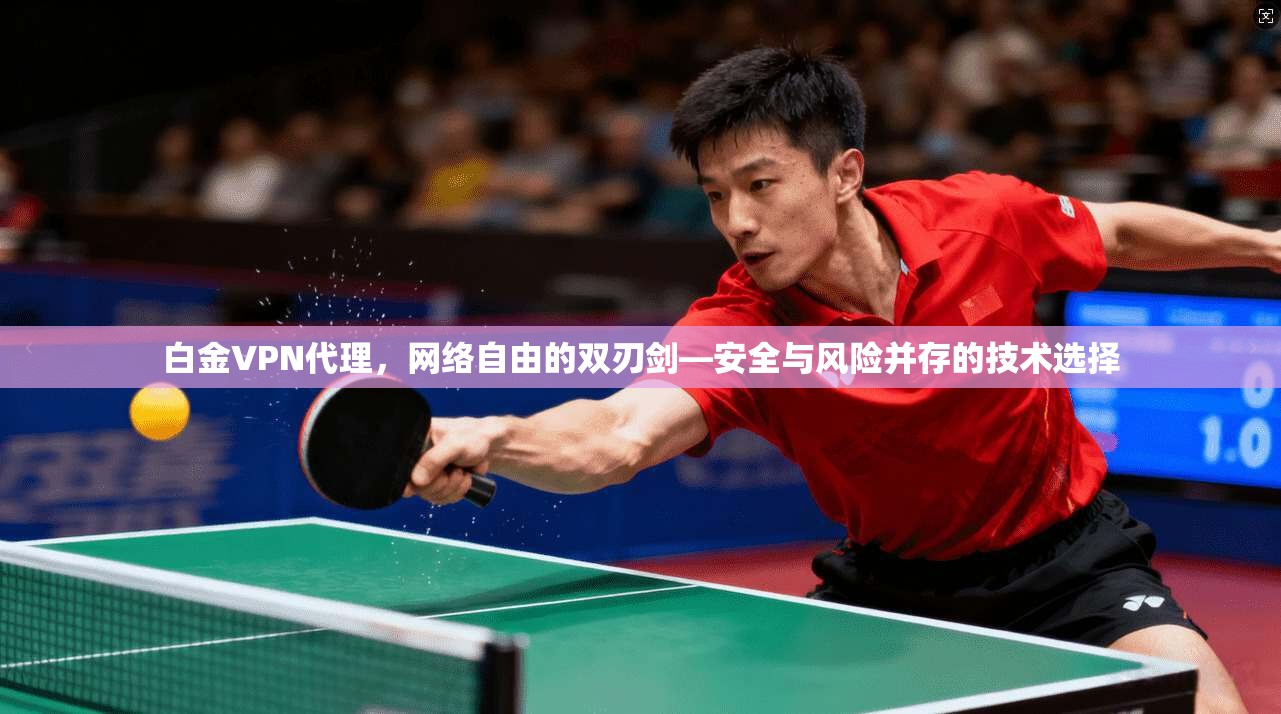 白金VPN代理，网络自由的双刃剑—安全与风险并存的技术选择