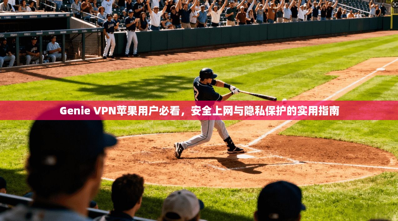 Genie VPN苹果用户必看，安全上网与隐私保护的实用指南