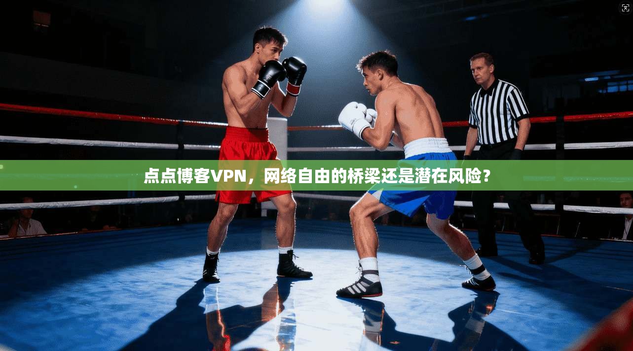 点点博客VPN，网络自由的桥梁还是潜在风险？
