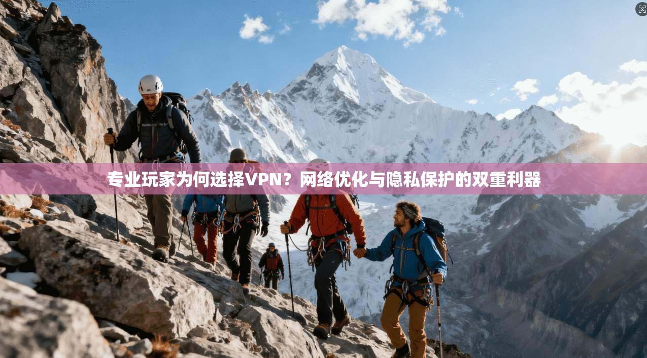 专业玩家为何选择VPN？网络优化与隐私保护的双重利器