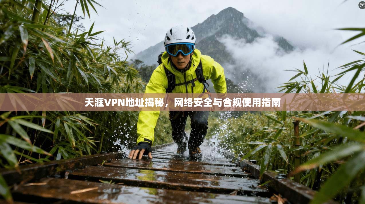 天涯VPN地址揭秘，网络安全与合规使用指南