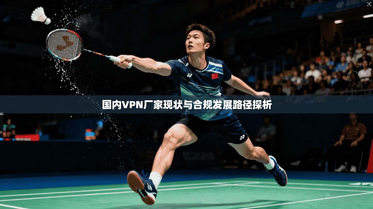 国内VPN厂家现状与合规发展路径探析