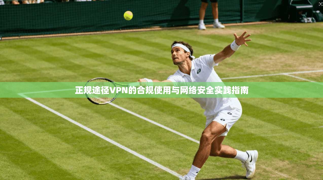 正规途径VPN的合规使用与网络安全实践指南