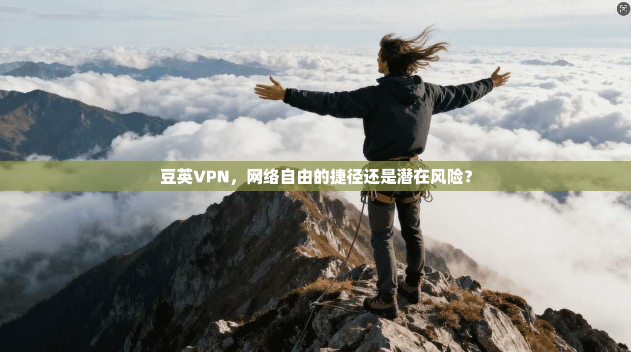 豆英VPN，网络自由的捷径还是潜在风险？