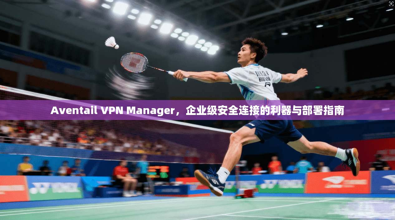 Aventail VPN Manager，企业级安全连接的利器与部署指南