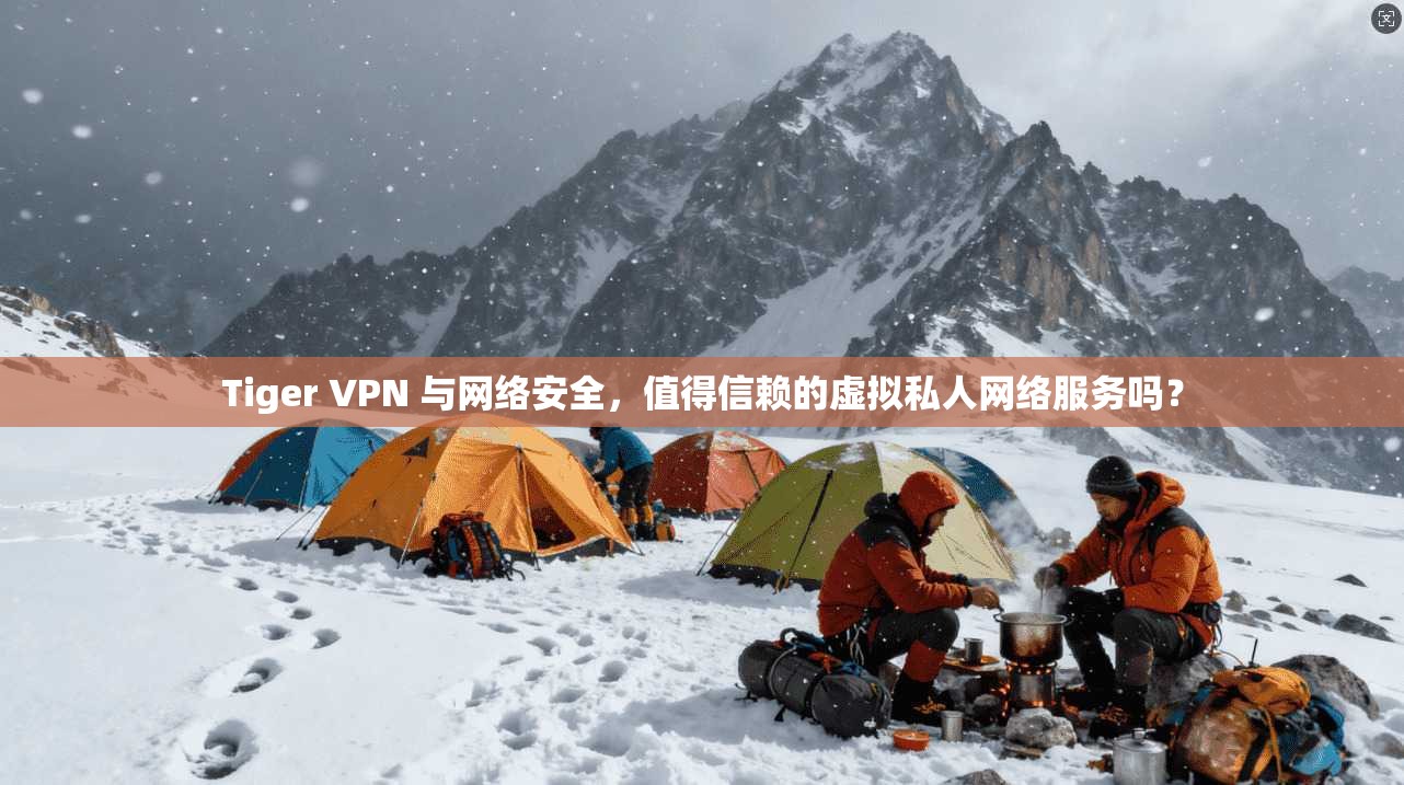 Tiger VPN 与网络安全，值得信赖的虚拟私人网络服务吗？
