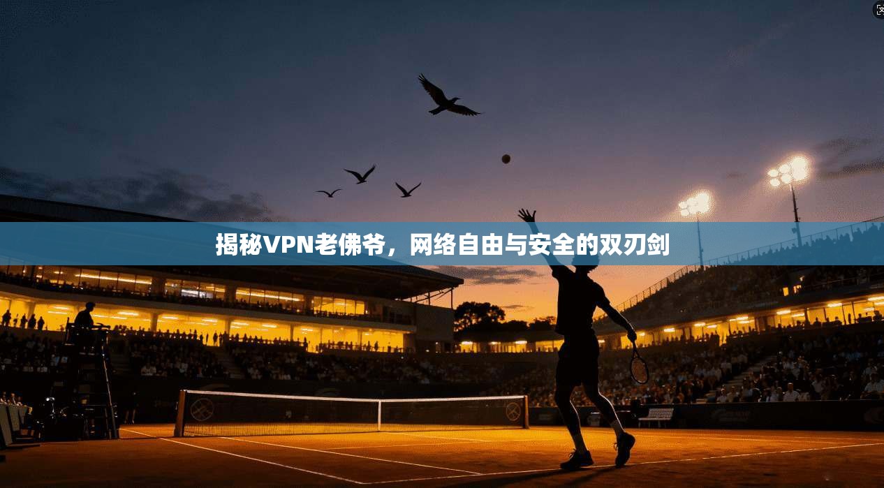 揭秘VPN老佛爷，网络自由与安全的双刃剑