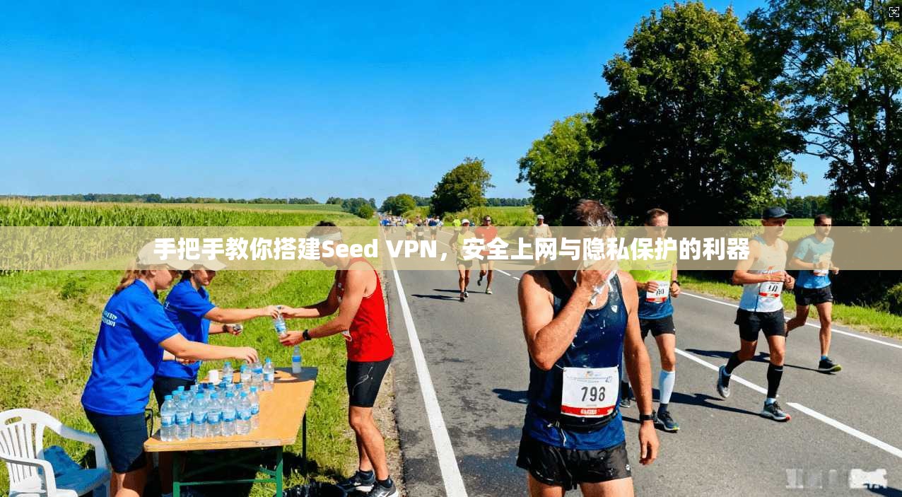 手把手教你搭建Seed VPN，安全上网与隐私保护的利器