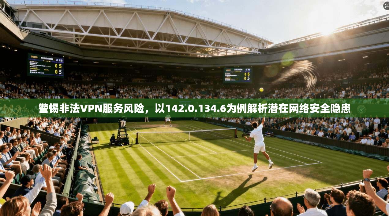 警惕非法VPN服务风险，以142.0.134.6为例解析潜在网络安全隐患