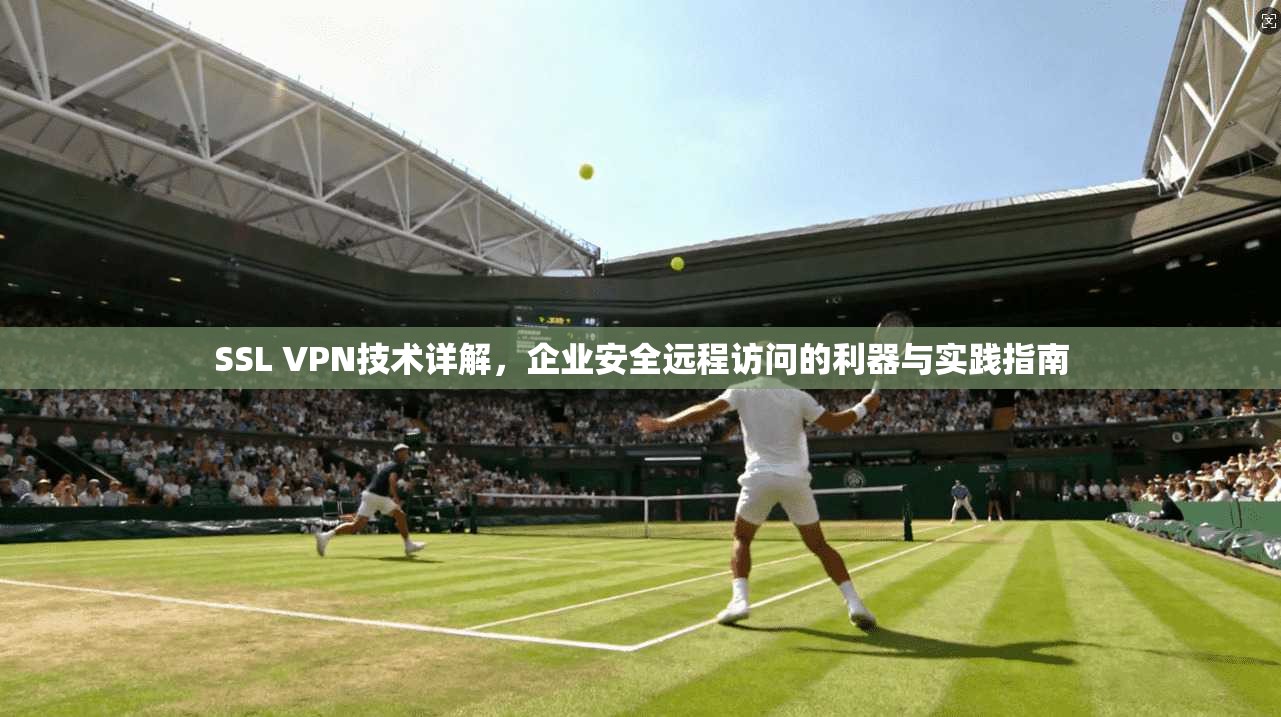 SSL VPN技术详解，企业安全远程访问的利器与实践指南