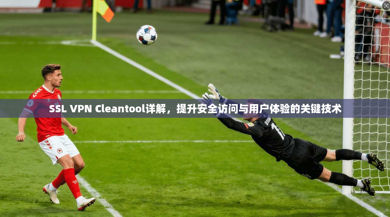 SSL VPN Cleantool详解，提升安全访问与用户体验的关键技术