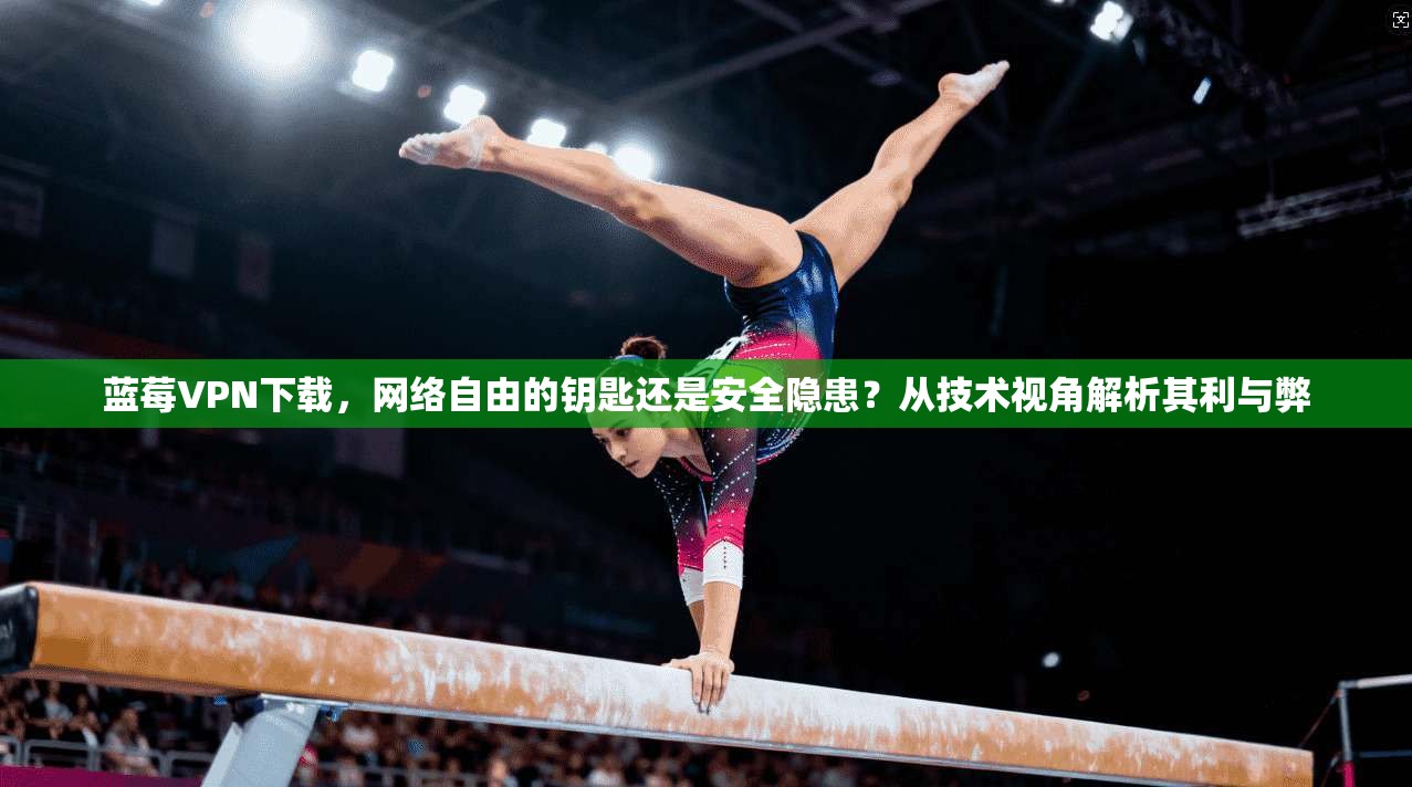 蓝莓VPN下载，网络自由的钥匙还是安全隐患？从技术视角解析其利与弊