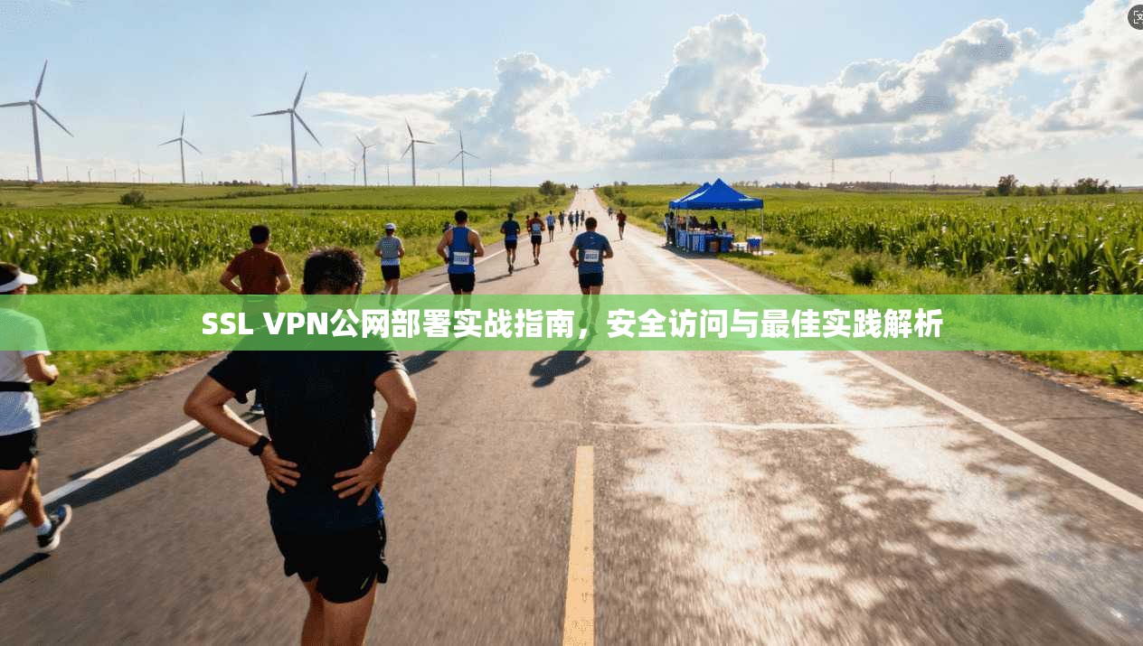 SSL VPN公网部署实战指南，安全访问与最佳实践解析