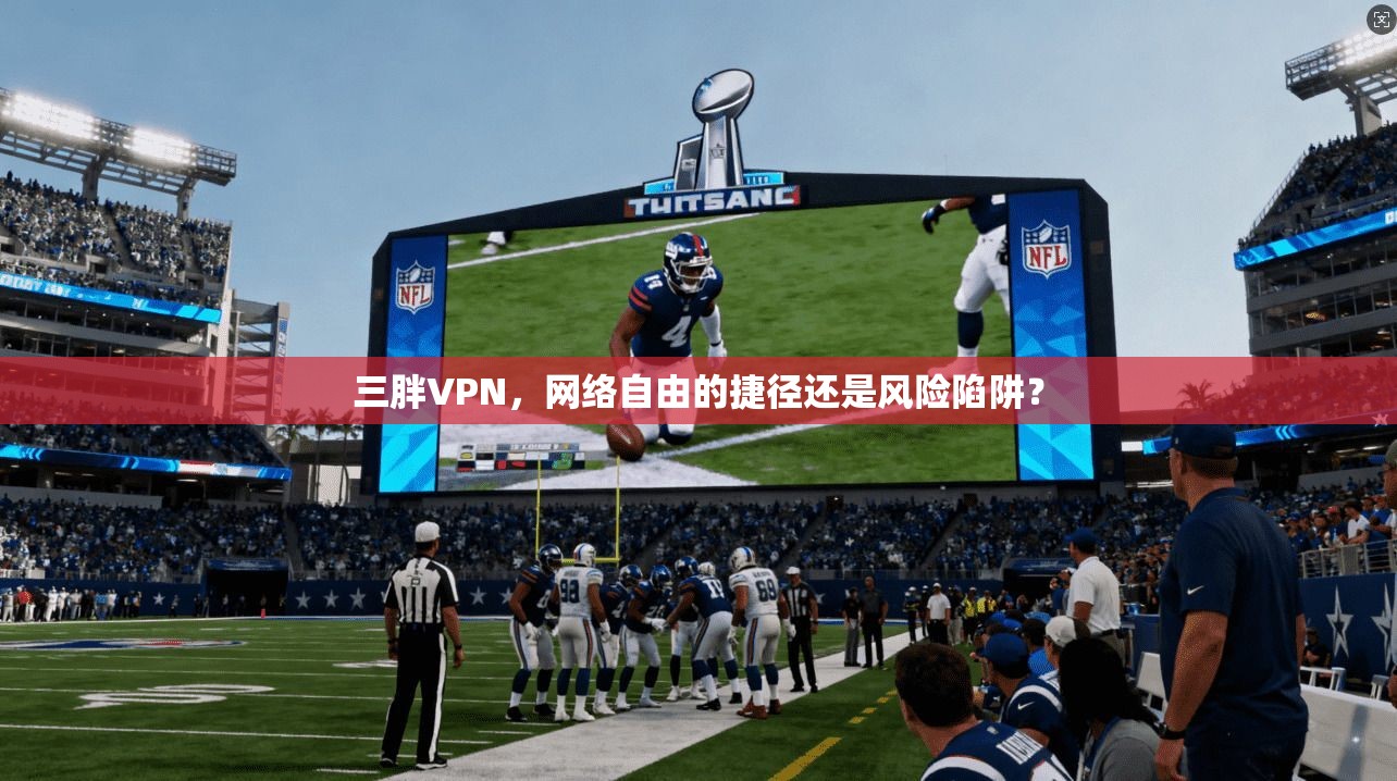 三胖VPN，网络自由的捷径还是风险陷阱？