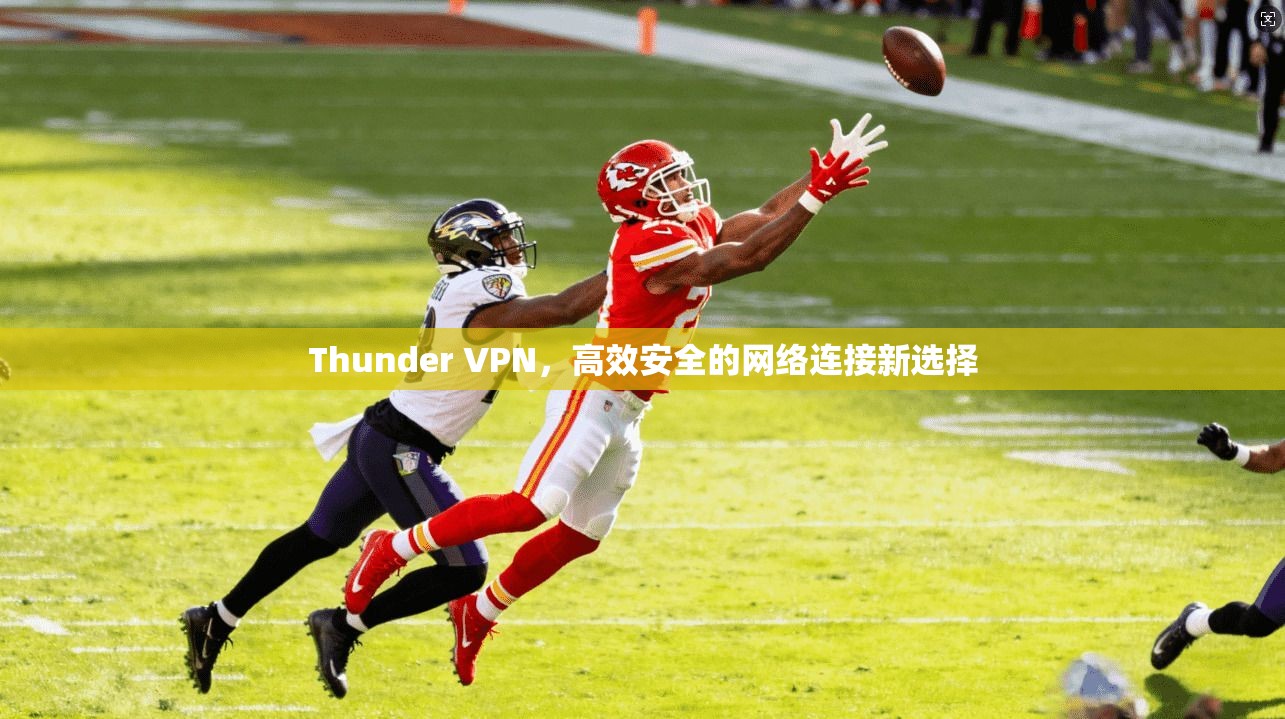 Thunder VPN，高效安全的网络连接新选择