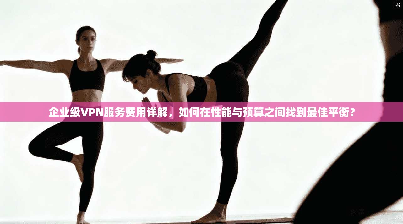 企业级VPN服务费用详解，如何在性能与预算之间找到最佳平衡？