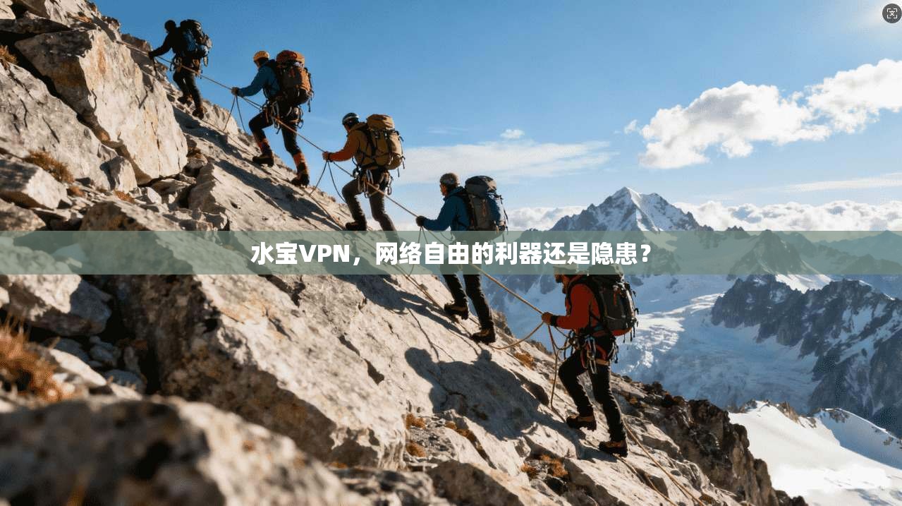 水宝VPN，网络自由的利器还是隐患？