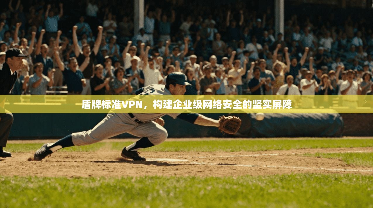 盾牌标准VPN，构建企业级网络安全的坚实屏障