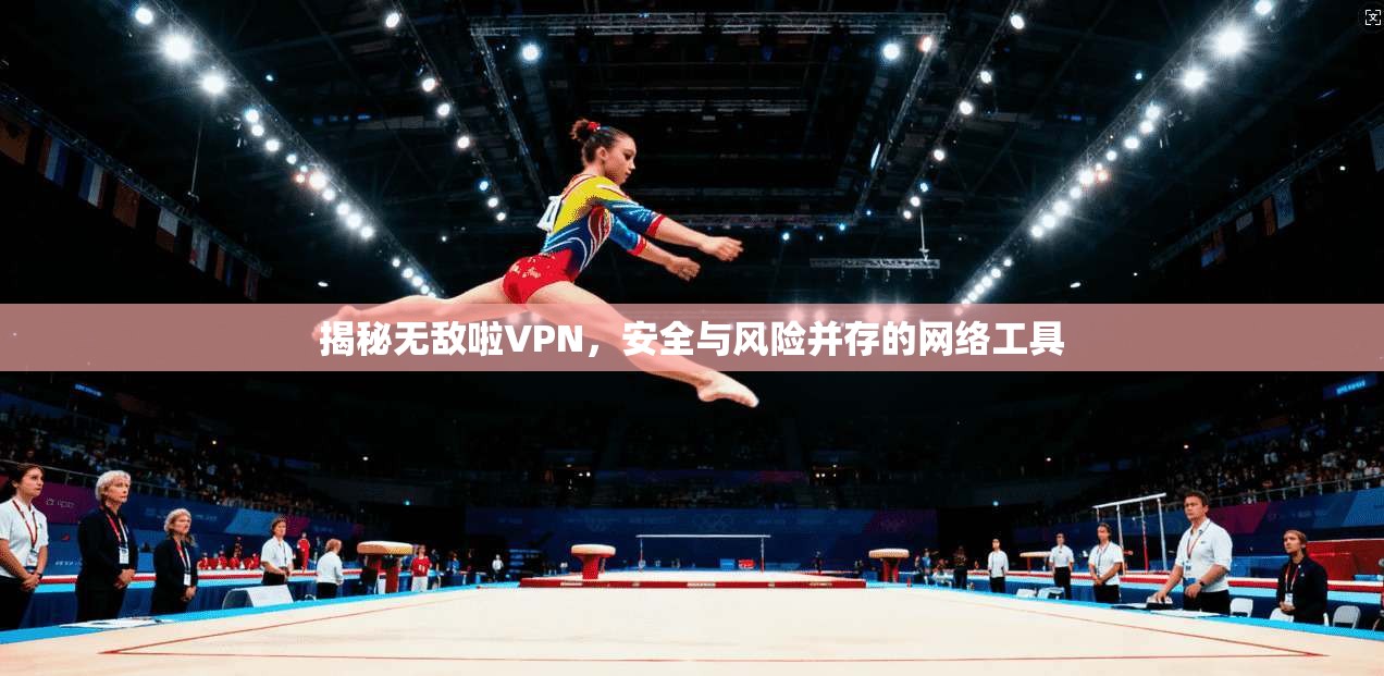揭秘无敌啦VPN，安全与风险并存的网络工具