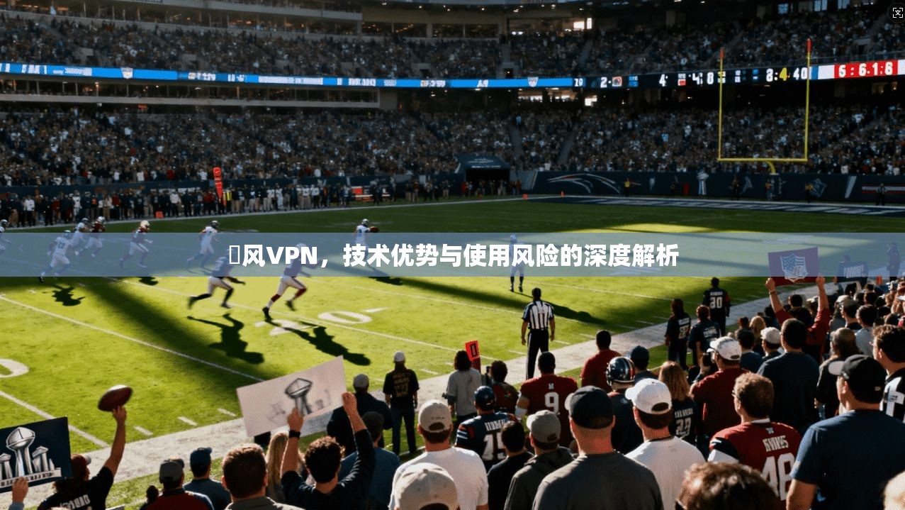 賽风VPN，技术优势与使用风险的深度解析