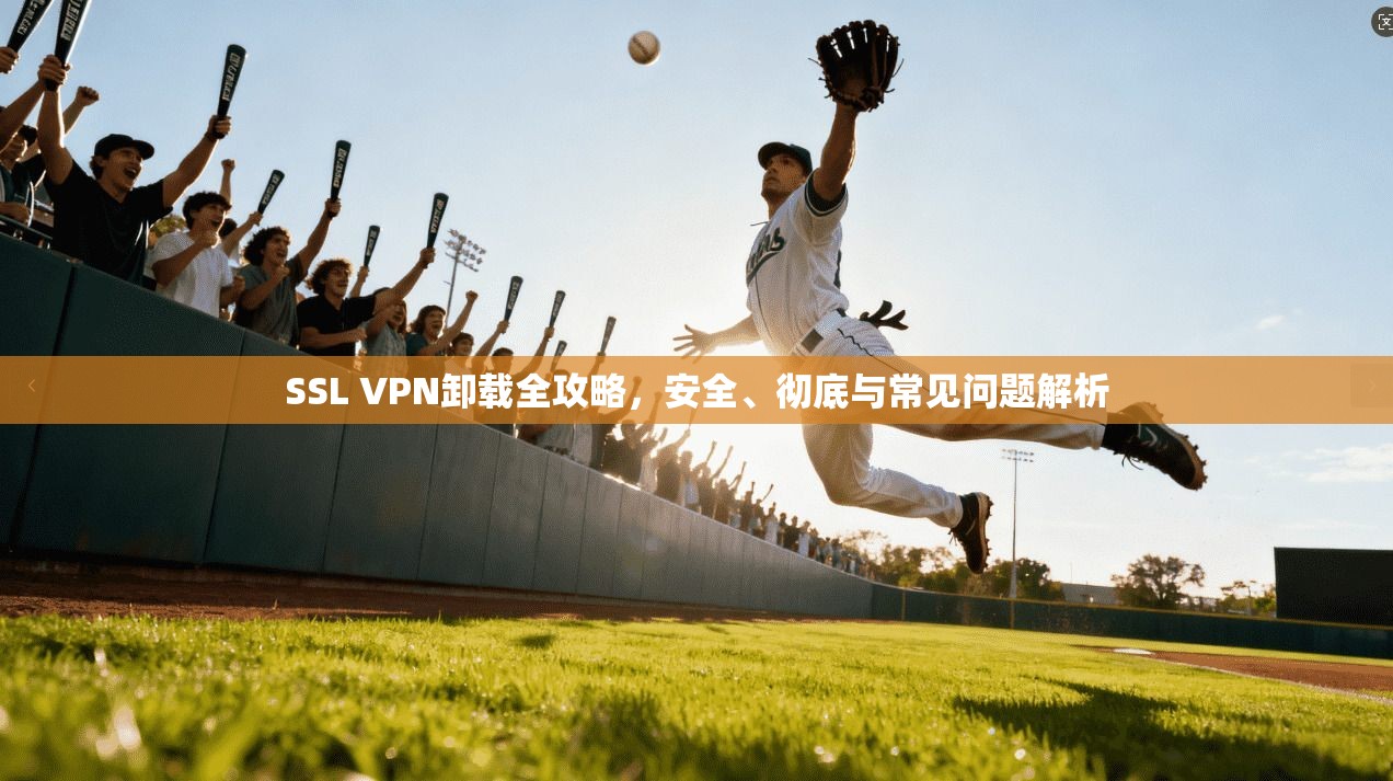 SSL VPN卸载全攻略，安全、彻底与常见问题解析