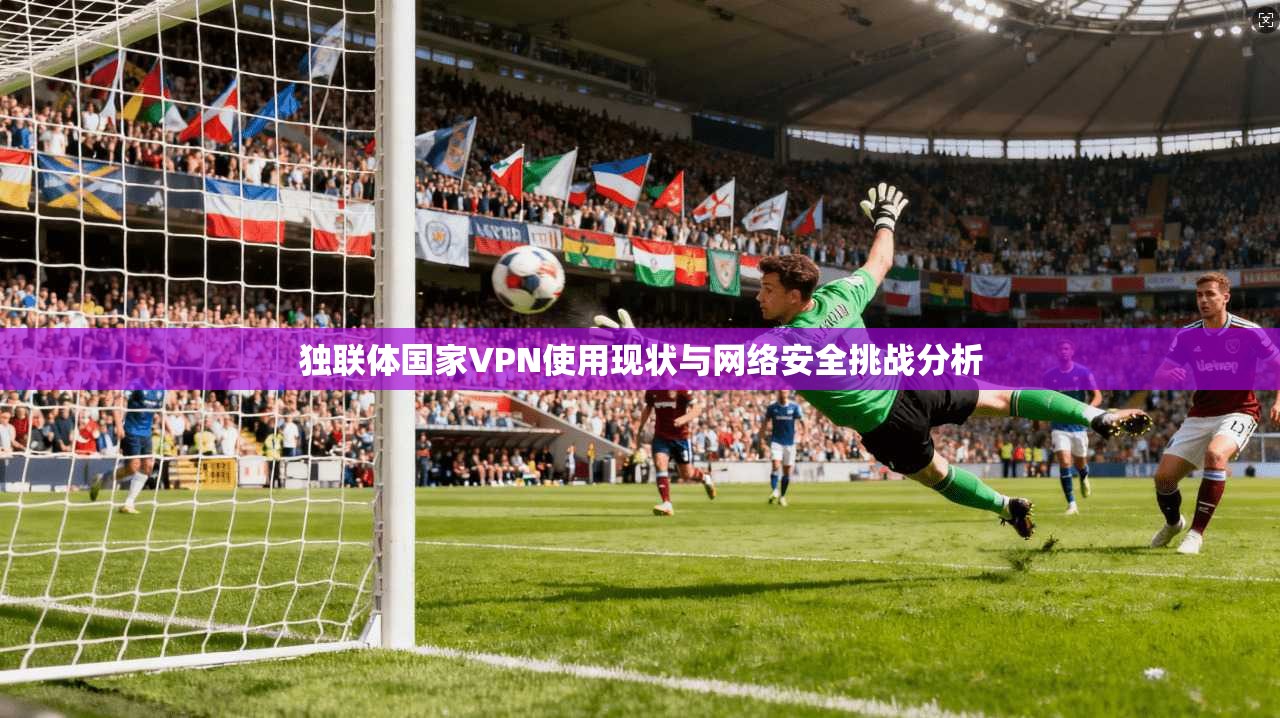 独联体国家VPN使用现状与网络安全挑战分析