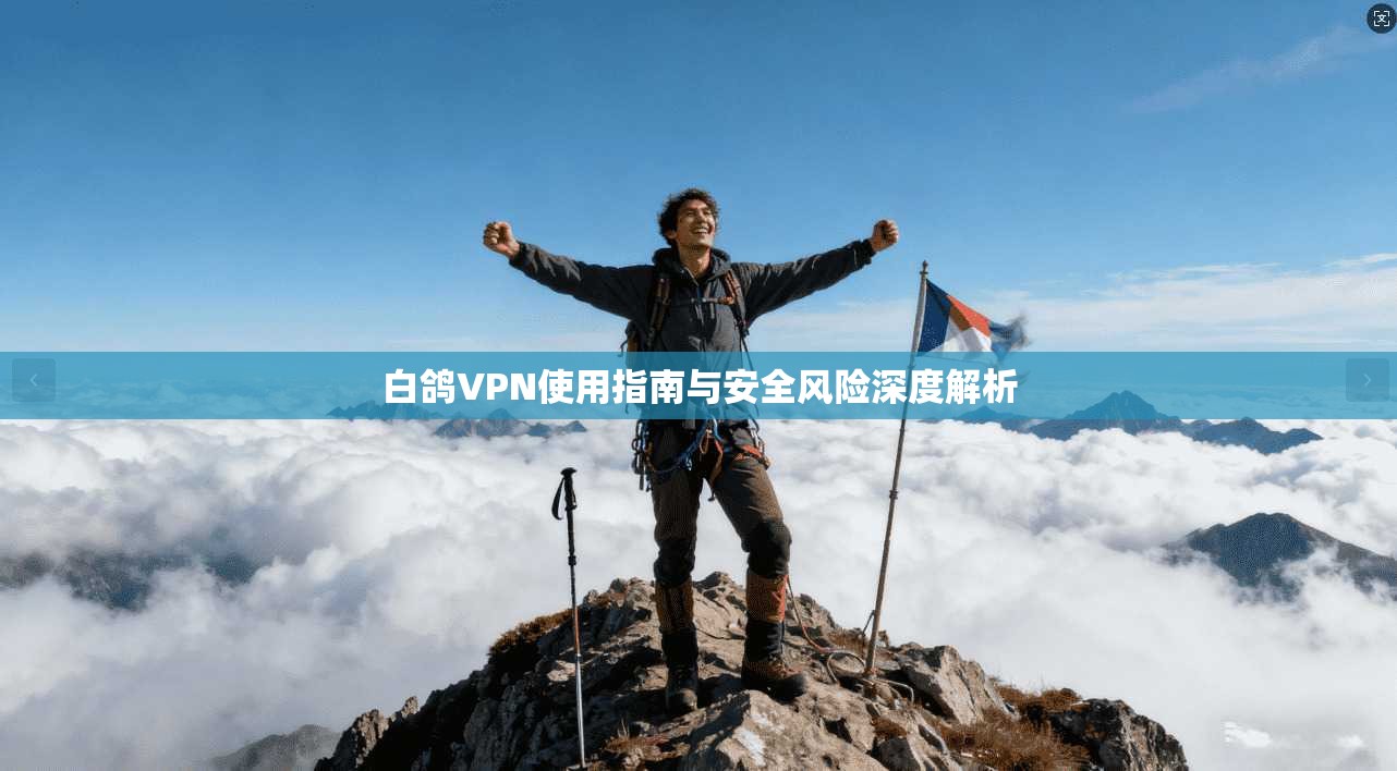 白鸽VPN使用指南与安全风险深度解析
