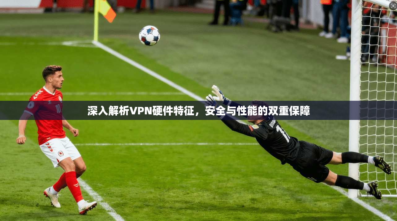 深入解析VPN硬件特征，安全与性能的双重保障